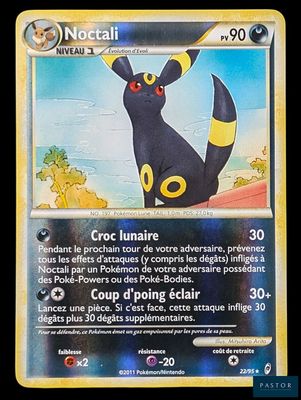 La carte Pokémon représente un chat noir et jaune.