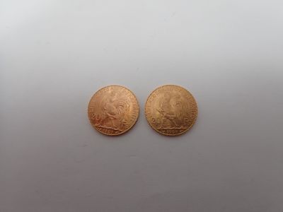deux pièces d'or posées côte à côte sur une surface blanche