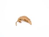 gold leaf brooch on a white background