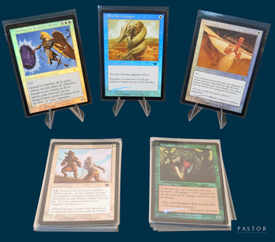 Plusieurs cartes sont exposées sur un présentoir avec un fond bleu.