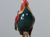 a figurine of a rooster on a wooden table