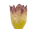 a yellow and purple flower that is on a white surface