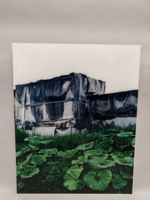 une image représentant une photo en noir et blanc d'un bâtiment et d'un champ de plantes vertes