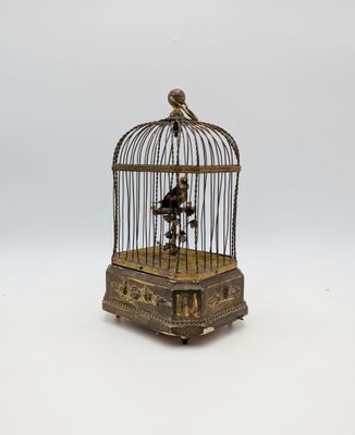 a small bird in a cage on a white surface