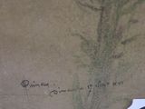 an image of a painting of a plant on a table