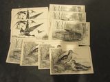 several cards with pictures of birds on them on a table