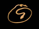 une image représentant un bracelet en or orné d'un serpent au centre