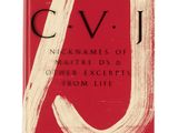 une couverture de livre rouge ornée d'un trait de pinceau blanc
