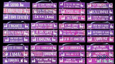 Expédition obligatoire - Lot de 22 plaques avec plusieurs ci…