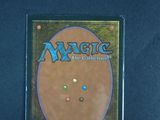 a close up of a box of magic the gathering cards