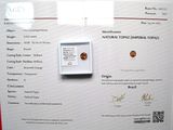 une photo d'un certificat sur lequel figure l'image d'une pièce de monnaie