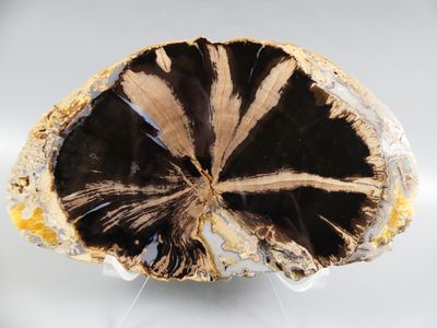 an image of a piece of black and white agate