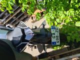 une moto garée près d'un arbre