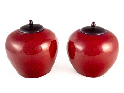 deux pommes rouges posées l'une à côté de l'autre