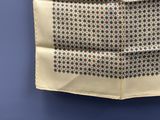 une image représentant une pochette de costume à motifs