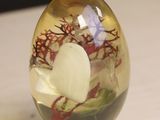a glass ball with a plant inside of it on a table