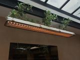 a plant that is growing on a shelf in a room