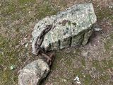 a large rock with a chain attached to it in the grass