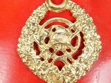 an image of a gold plated pendant with a lion on it