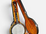an image of a banjo with a case on top of it