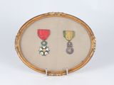 an image of a picture of two medals in a gold frame