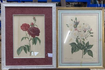deux photos de fleurs encadrées, posées sur une table