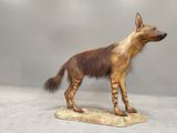 an image of a dog that is standing on a base