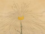 drawing of a yellow flower with a stem and leaves on a beige background
