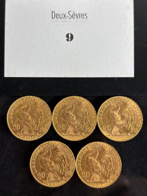 six souverains d'or dans une vitrine posée sur un socle noir