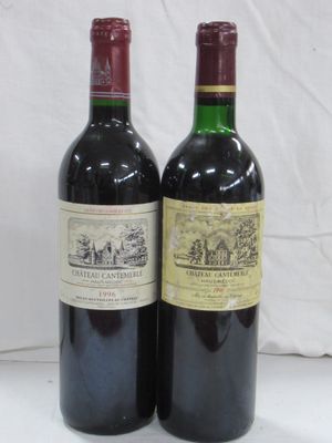 deux bouteilles de vin posées l'une à côté de l'autre sur une surface blanche