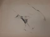 a black and white drawing of a horse on a sheet of paper