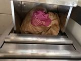 a bag of food that is sitting on a conveyor belt