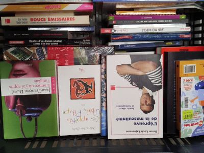 Lot de 20 LIVRES MULTI-ÉDITEURS - Essais Romans Guides et Je…
