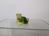 une figurine de grenouille verte posée sur une table en verre