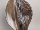 une image représentant une sculpture en forme de coquillage sur fond blanc