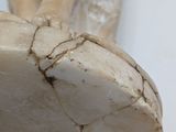 a close up of a sculpture of a person ' s feet