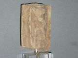 a small piece of stone on a clear stand