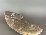 a stone object that looks like a shoe on a table