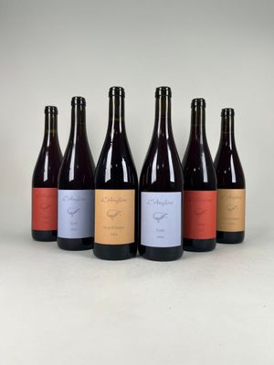 six bottles of wine are lined up in a row