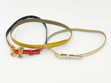 une paire de laisses pour chien en cuir doré et rouge sur fond blanc