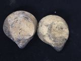 pair of ancient stone figurines on black background