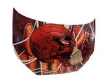 spider - man mask with a skull on it