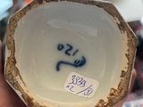a person holding a white and blue bowl in their hand