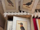 three framed pictures of birds sitting on top of each other