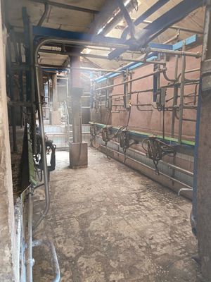 Salle de traite DELAVAL, 2 x 4 postes, décrochage automatiqu…