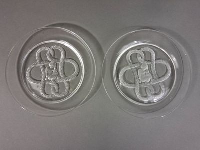 two glass plates with a design on them on a table