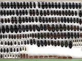 a picture of a window with a bunch of hair brushes in it