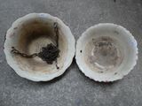 deux bols vides posés sur une surface en béton