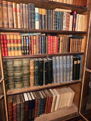 many books on the shelves in the room