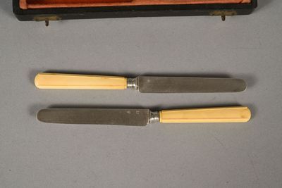 two knives and a knife sharpe sitting on top of a table
